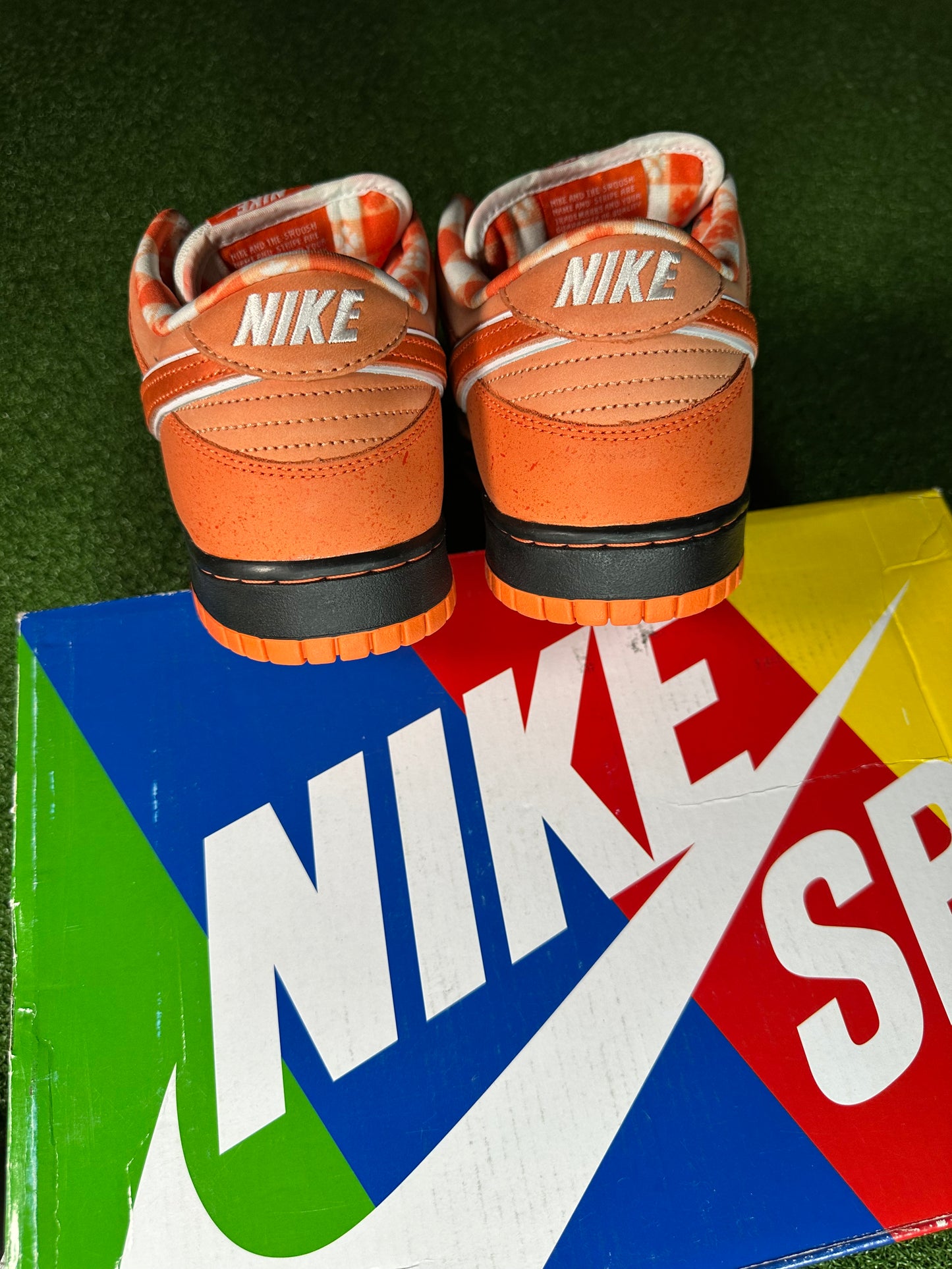 Nike SB Dunk Low Concepts Orange Lobster