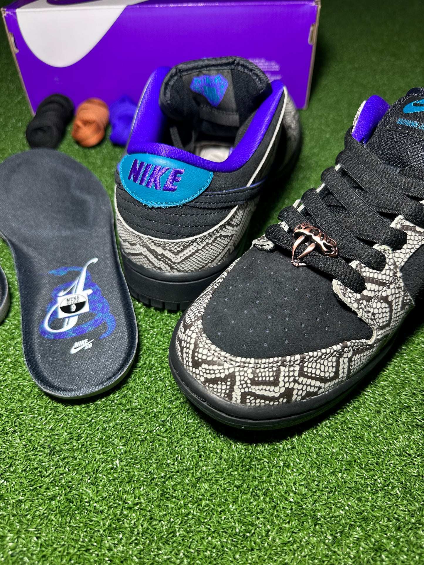 SB Dunk Low Dashawn Jordan Copperhead