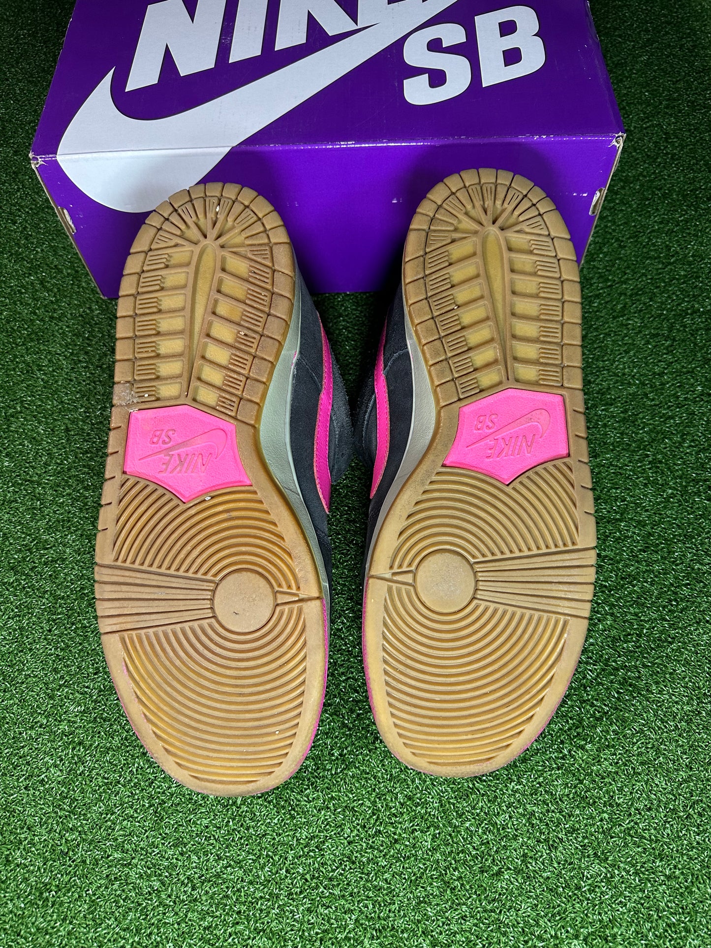 Nike SB Dunk Low Disposable USED NO BOX