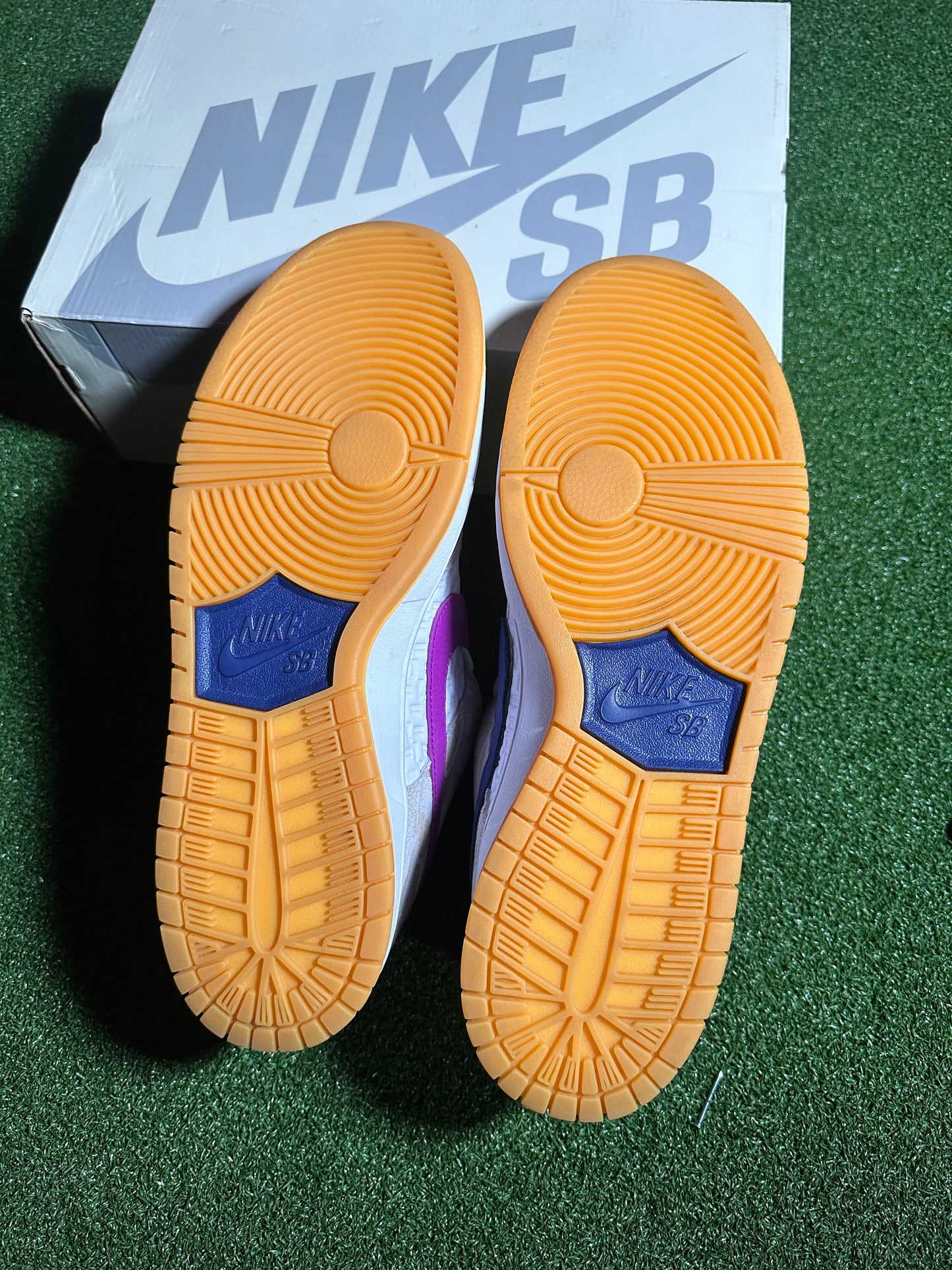 Nike SB Dunk Low Rayssa Leal USED