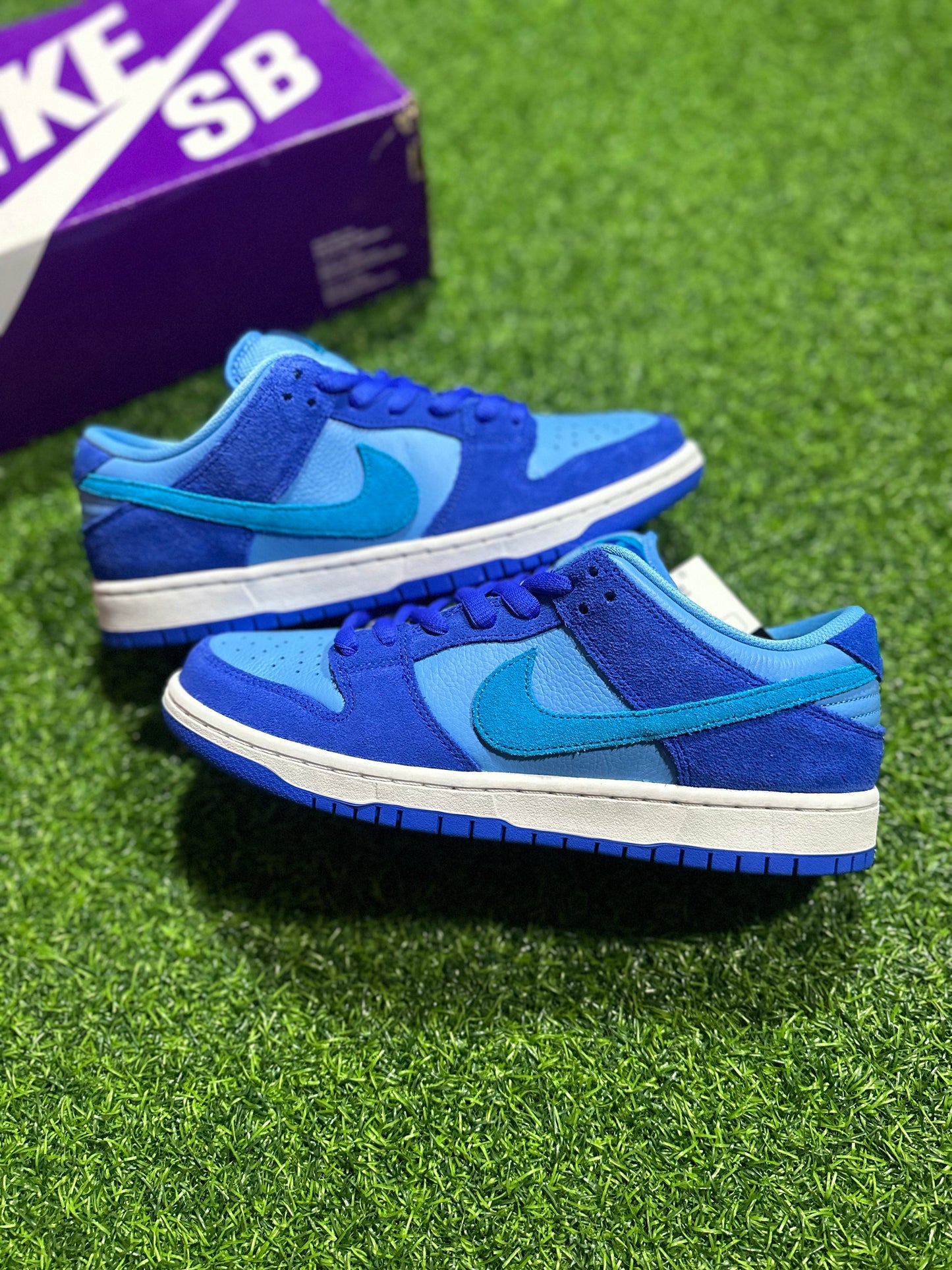 Nike SB Dunk Low - Frambuesa azul