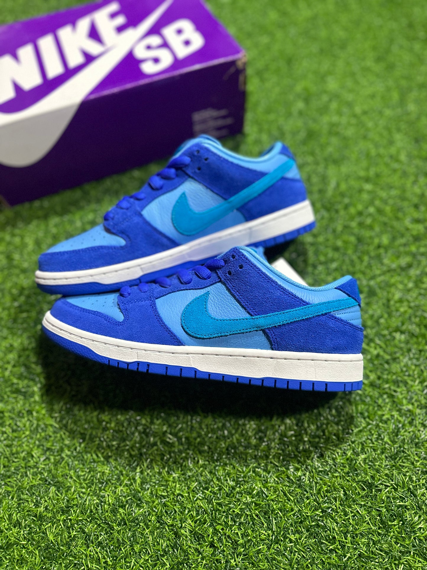 Nike SB Dunk Low - Frambuesa azul