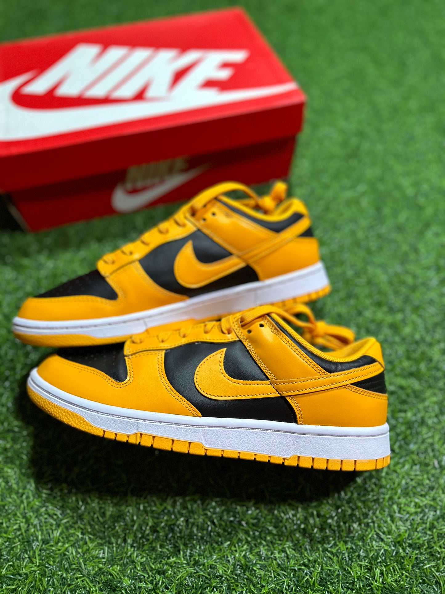 Nike Dunk Low - Campeonato Goldenrod