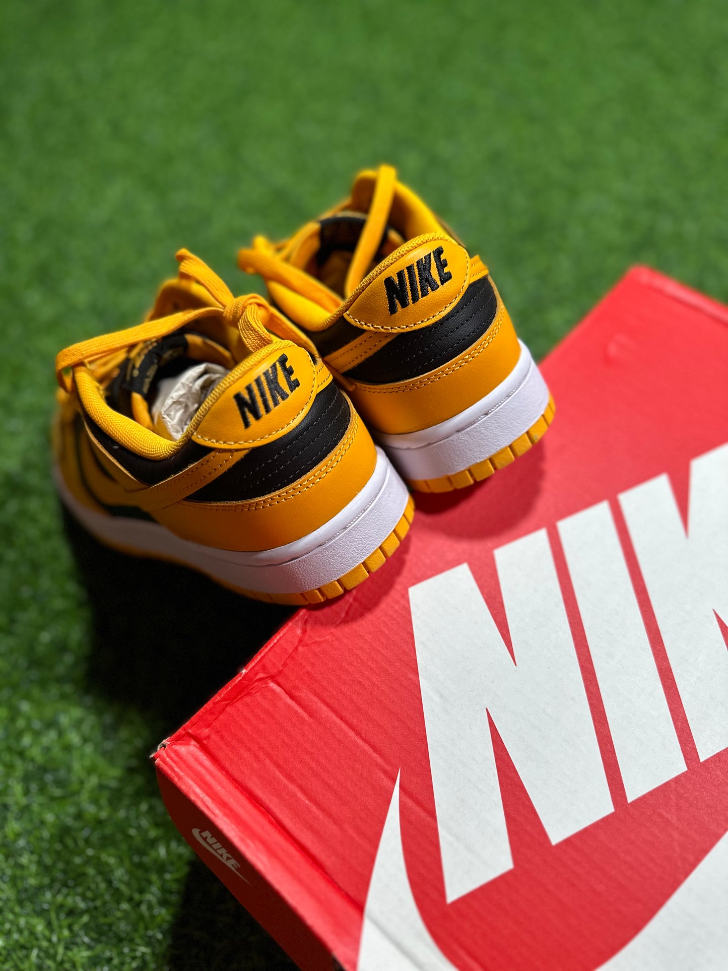 Nike Dunk Low - Campeonato Goldenrod