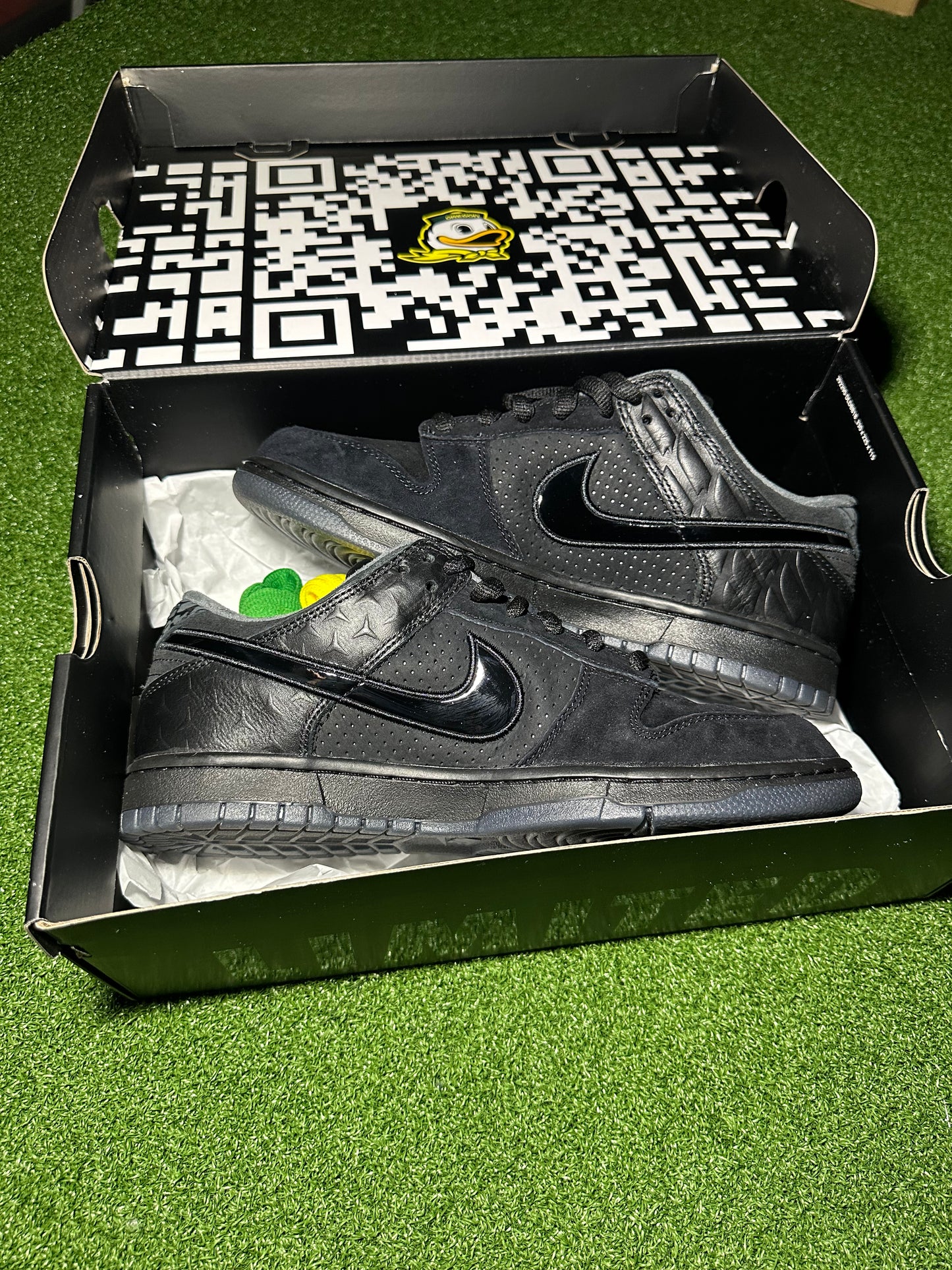 Nike Dunk Low “Ducks of a Feather” Black University of Oregon PE – Limited Edition
