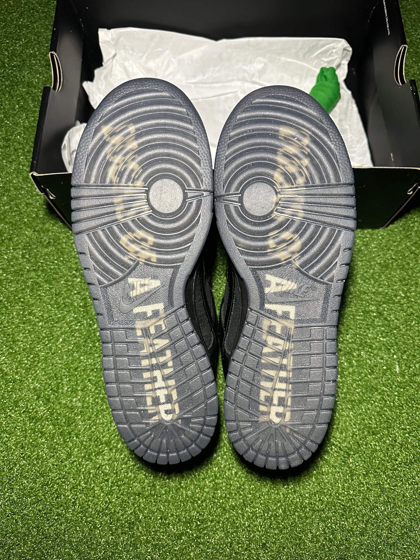 Nike Dunk Low “Ducks of a Feather” Black University of Oregon PE – Limited Edition