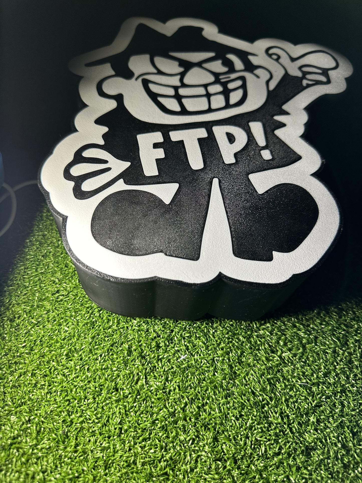 Custom 3D Print Light Box - FTP