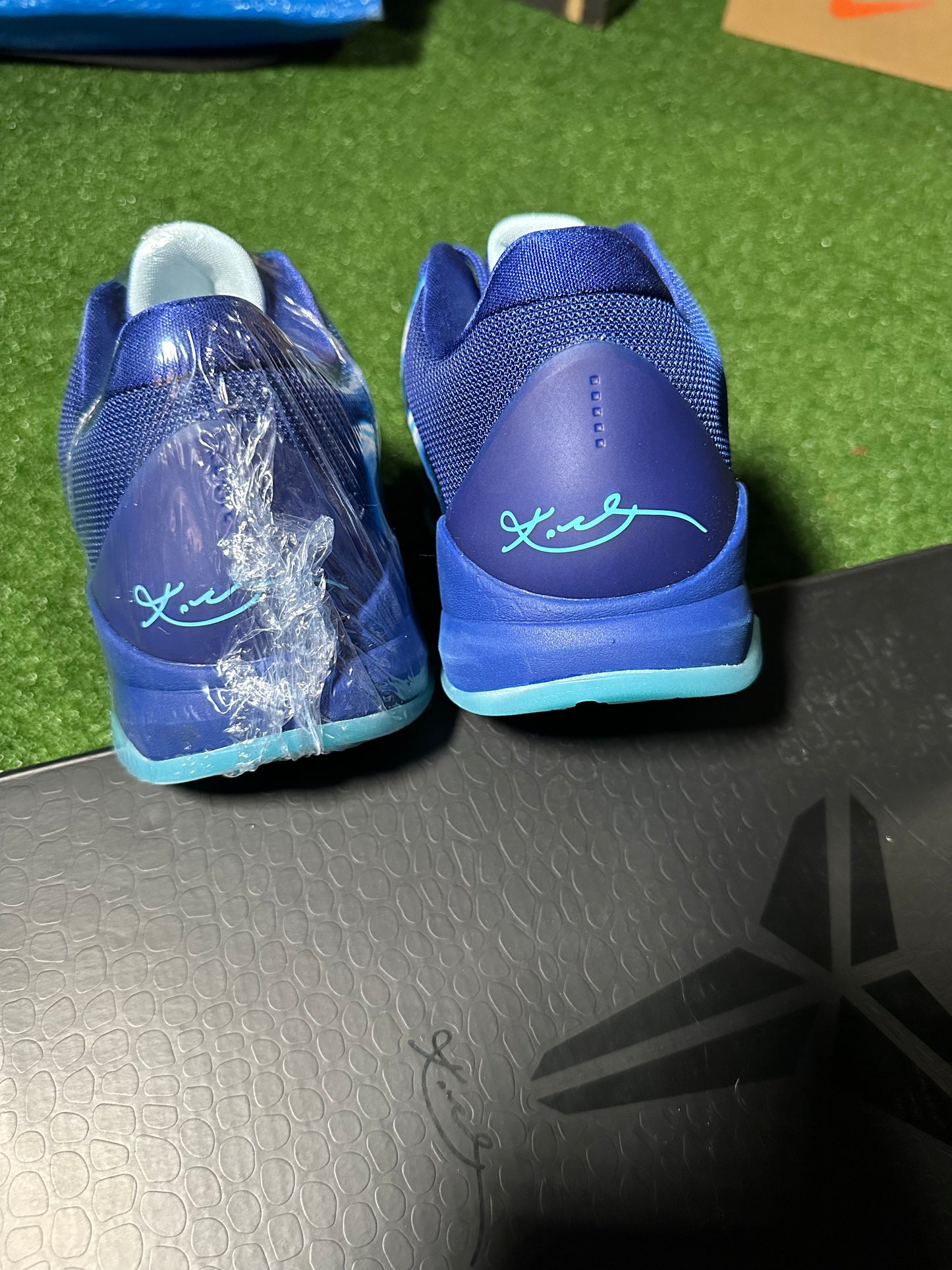 Kobe 5 Protro X Ray