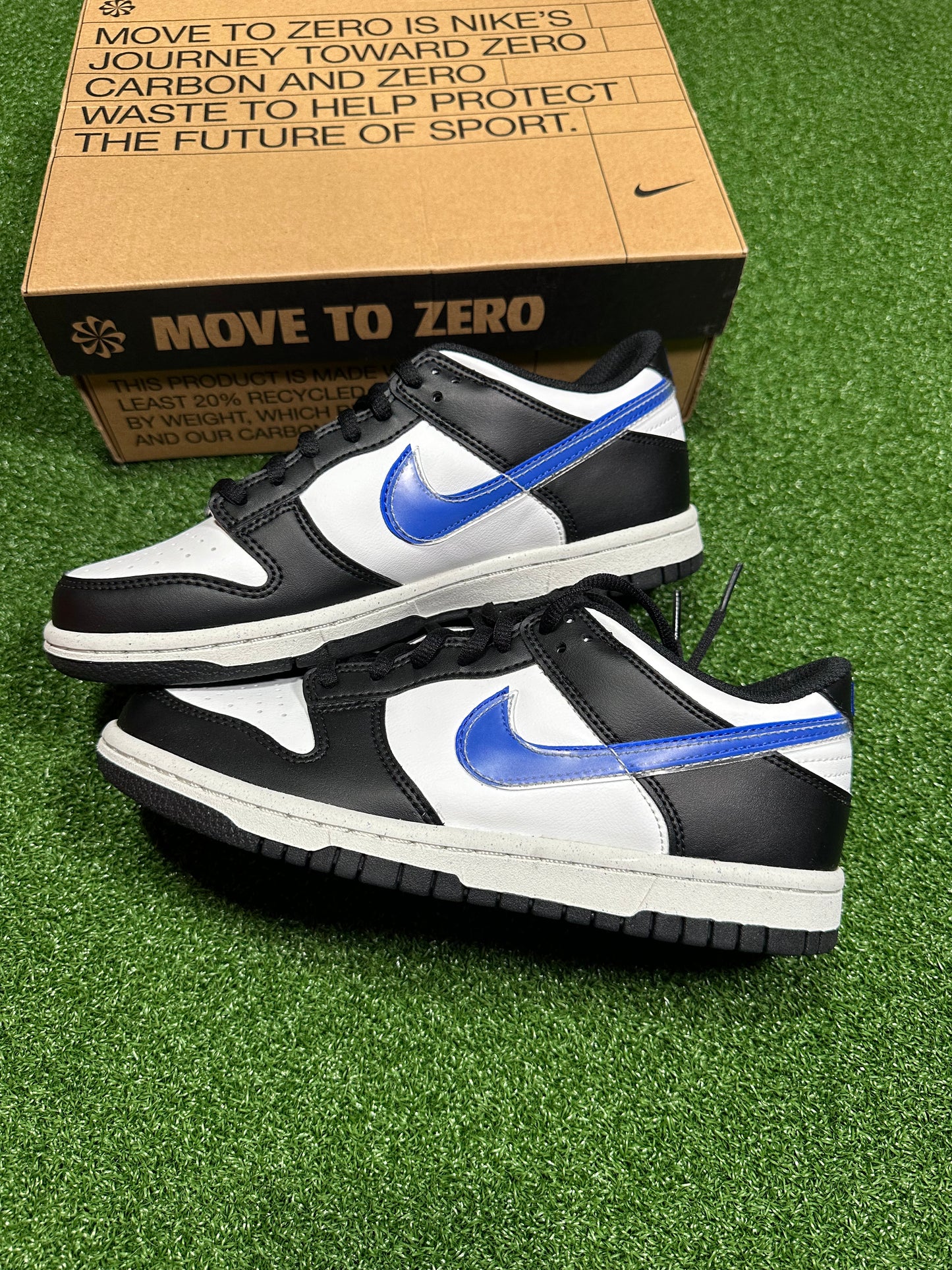 Nike Dunk Low Next Nature - TPU Swoosh (Grade School)