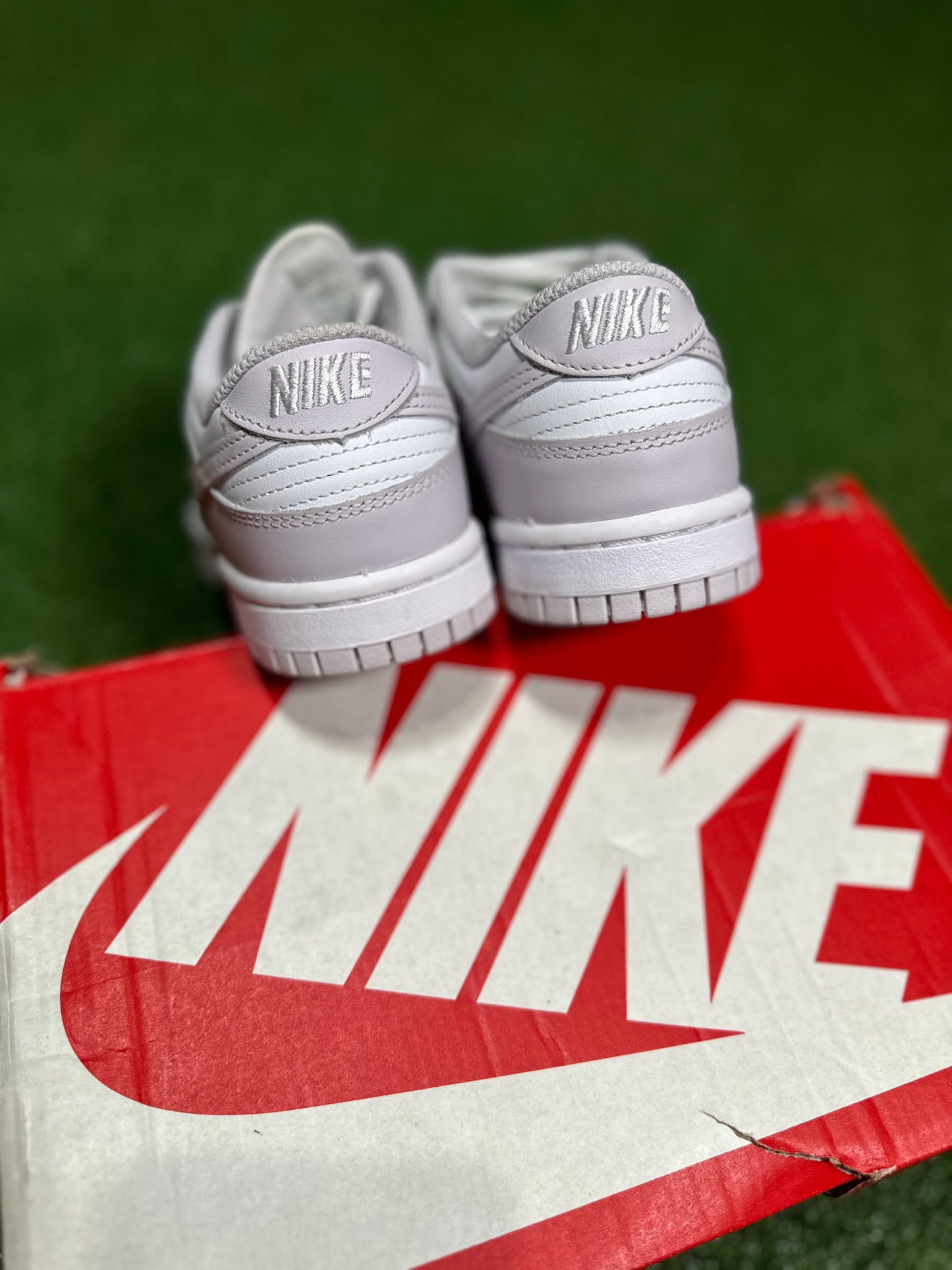 Nike Dunk Low - Venice (Women's)