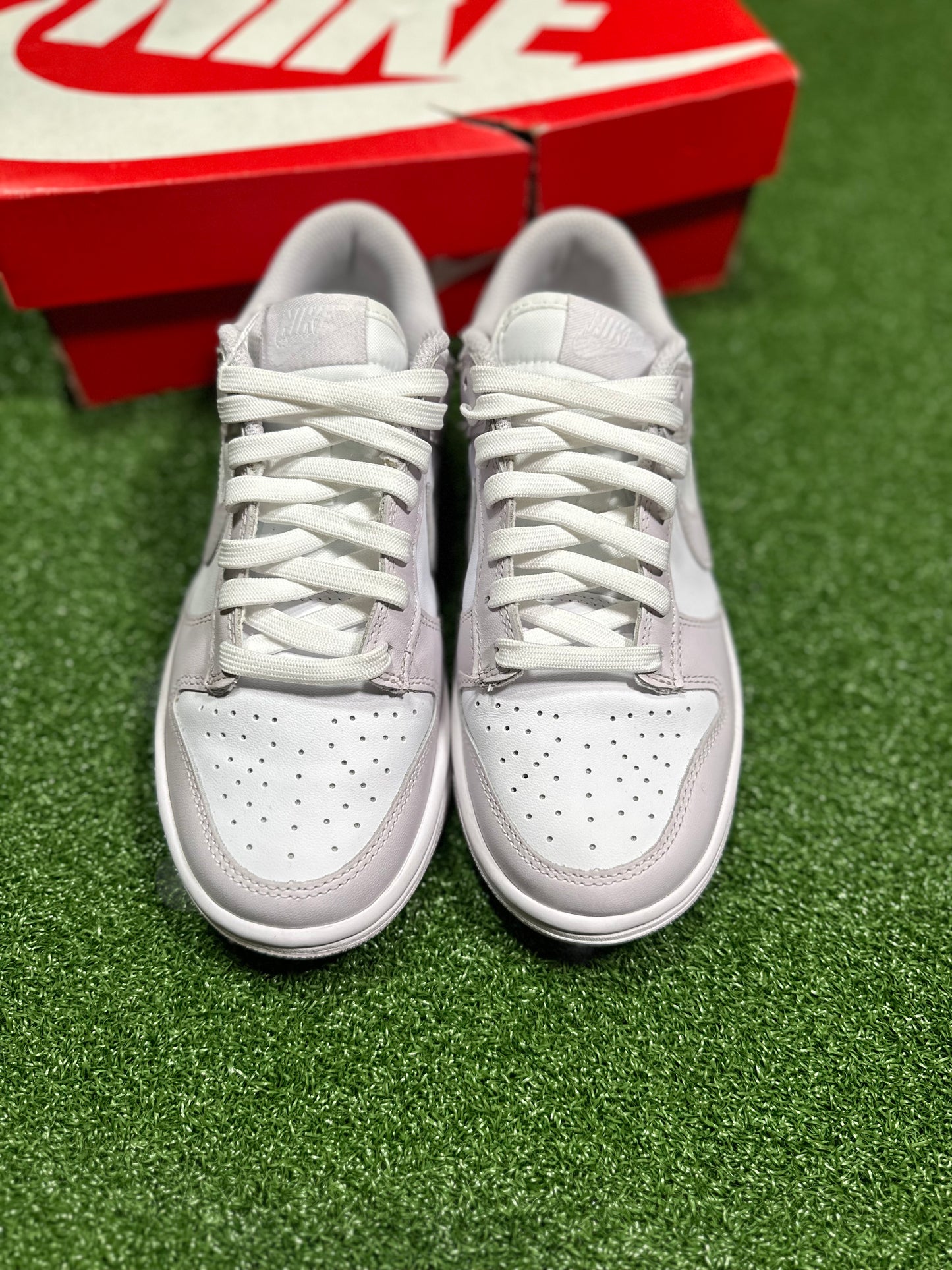 Nike Dunk Low - Venice (Women's)