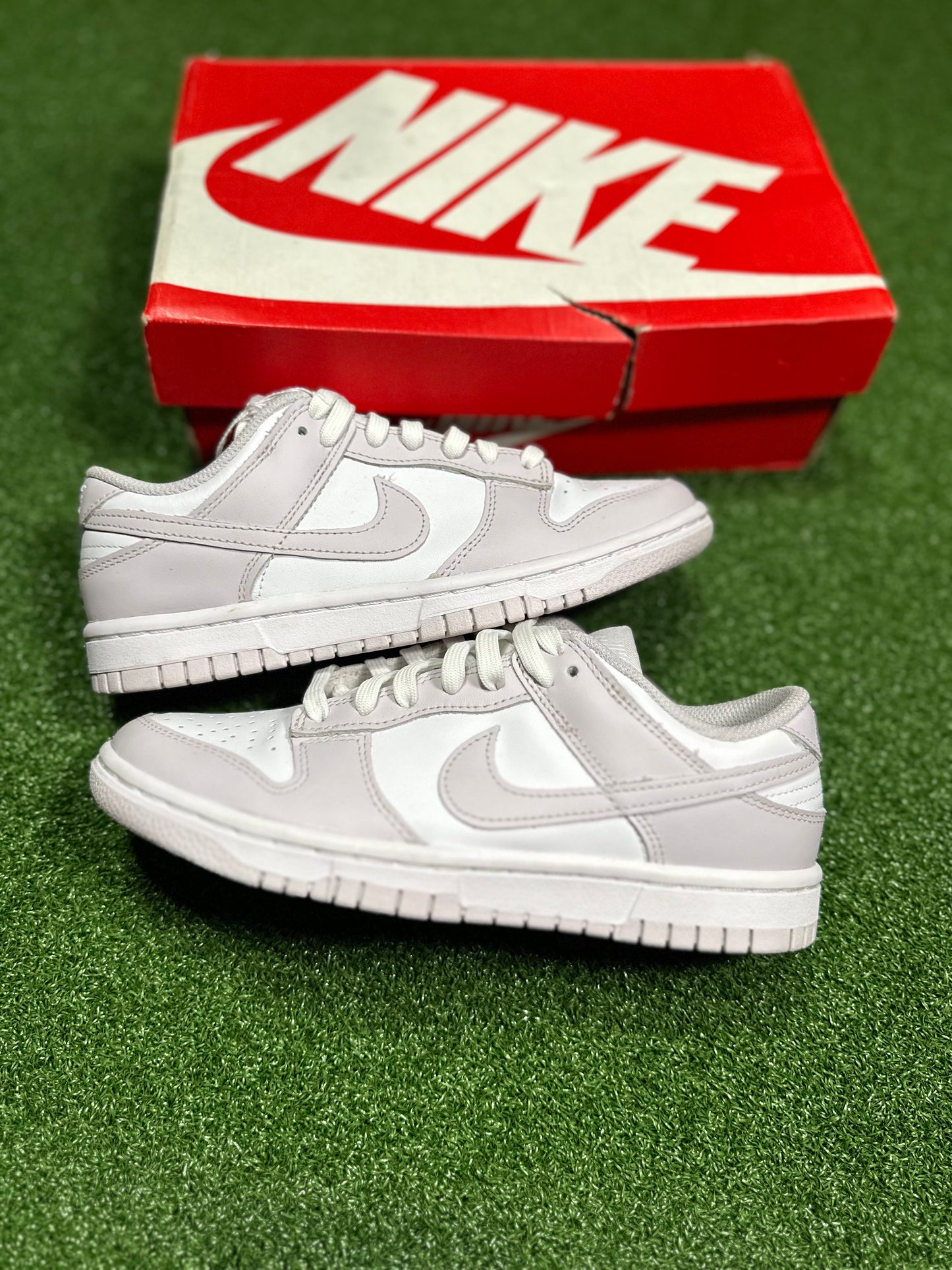 Nike Dunk Low - Venice (Women's)