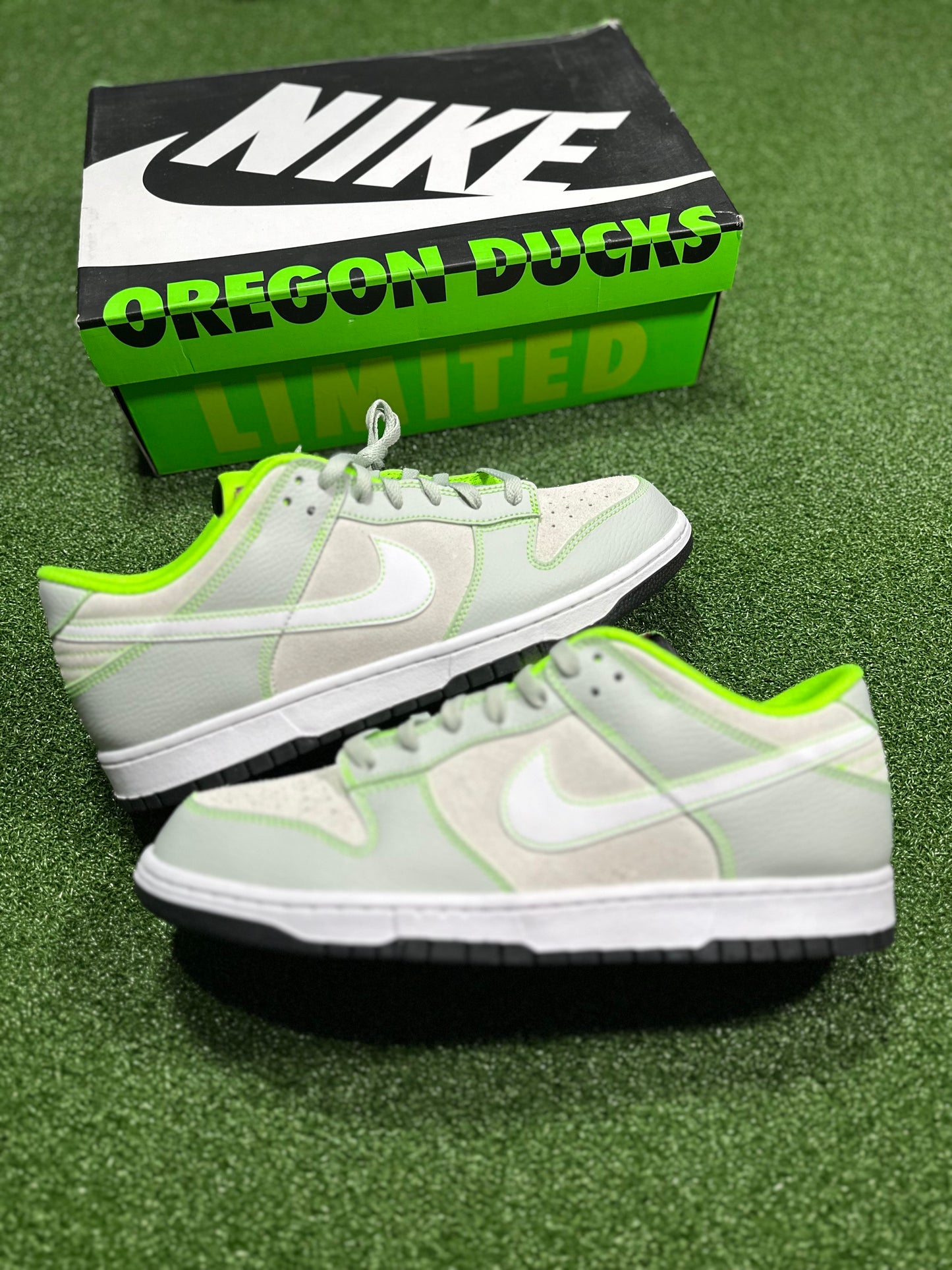 Nike Dunk Low - University of Oregon PE (2023)