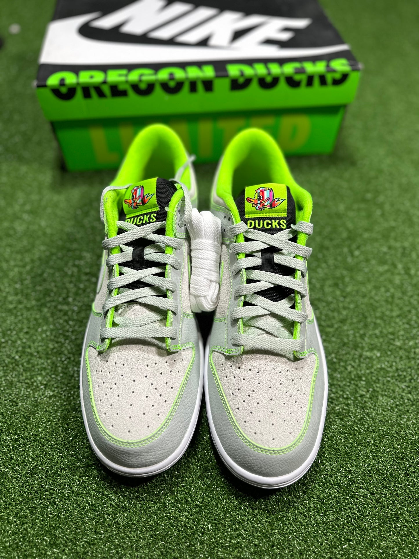Nike Dunk Low - University of Oregon PE (2023)