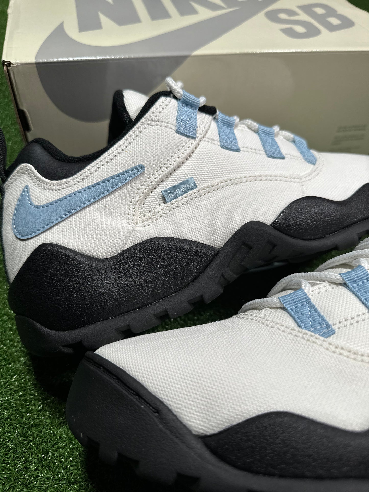 Nike SB Darwin Low - Vela suprema