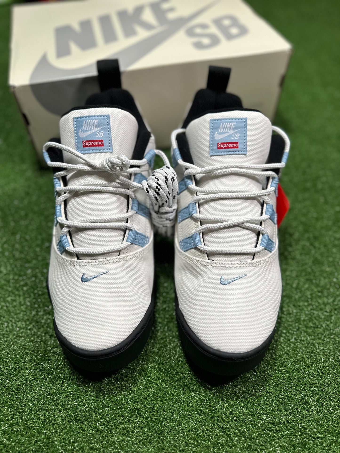 Nike SB Darwin Low - Vela suprema