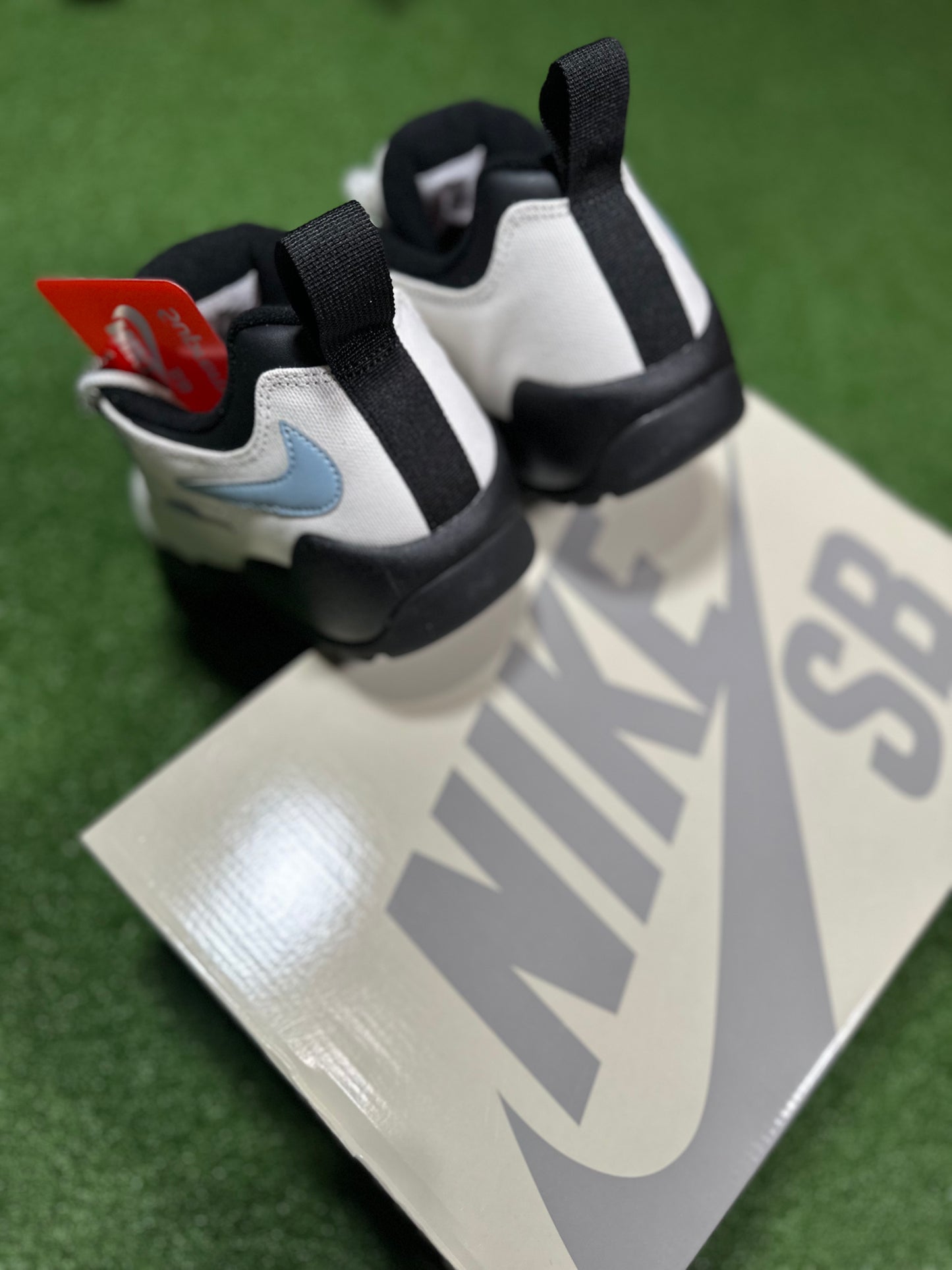 Nike SB Darwin Low - Vela suprema