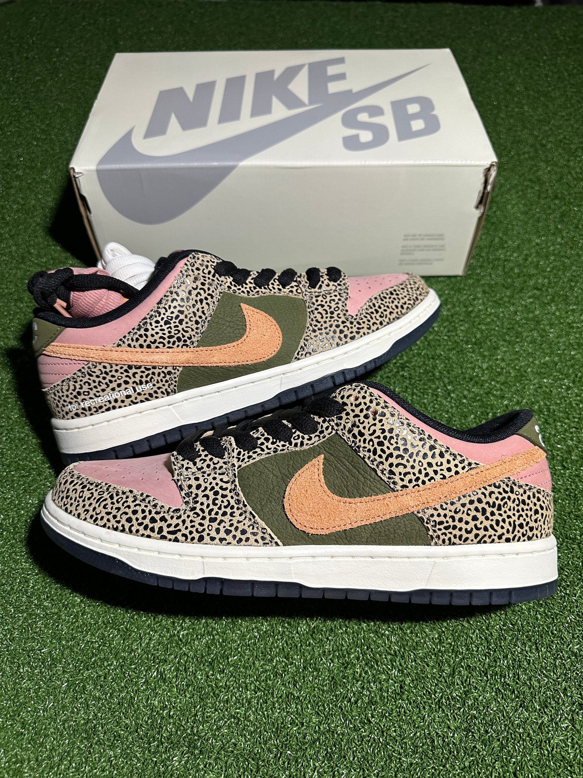 Nike SB Dunk Low Art-Rec Side View Print