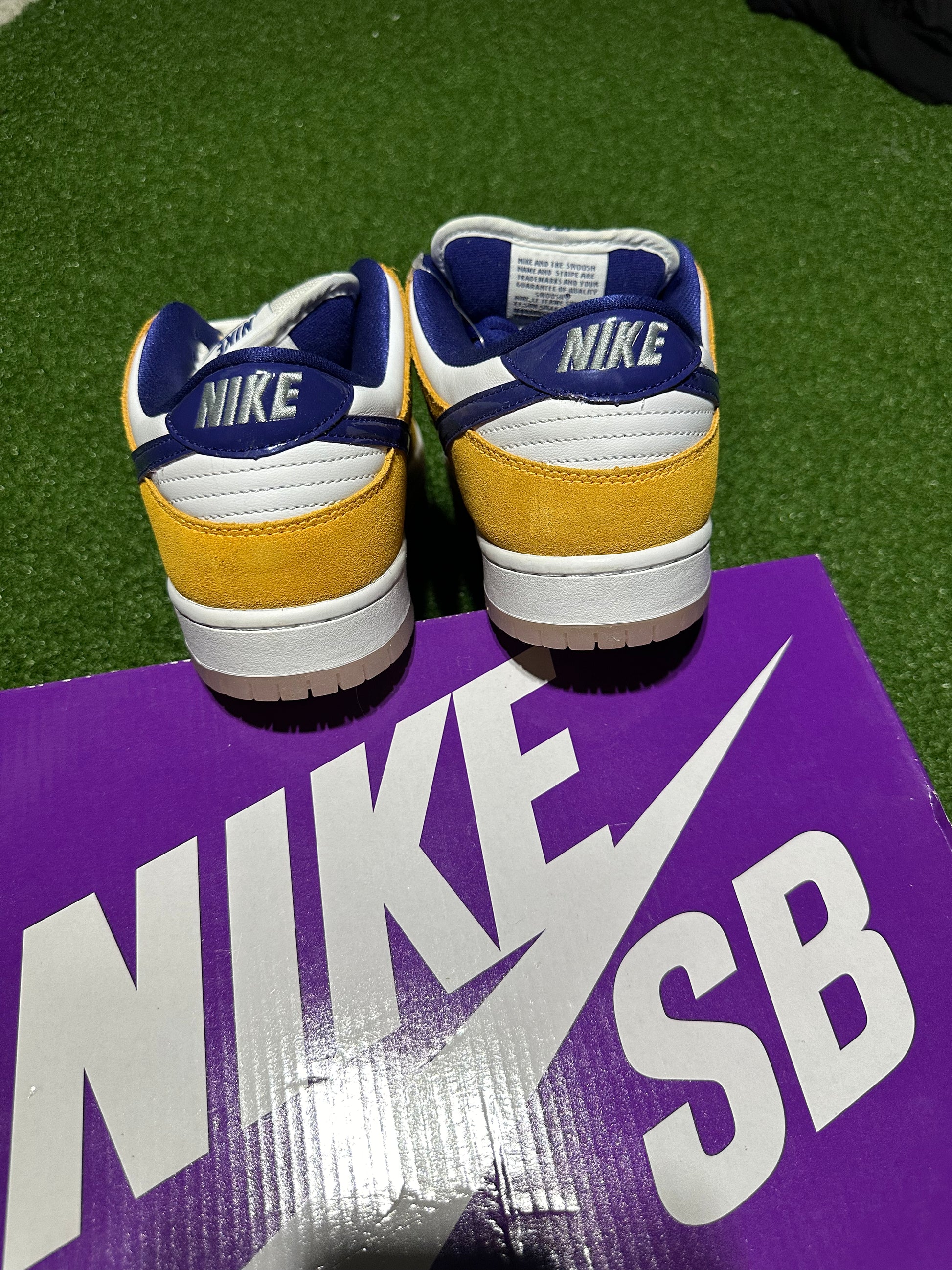 Pair of Nike SB shoes on a purple box with grass background