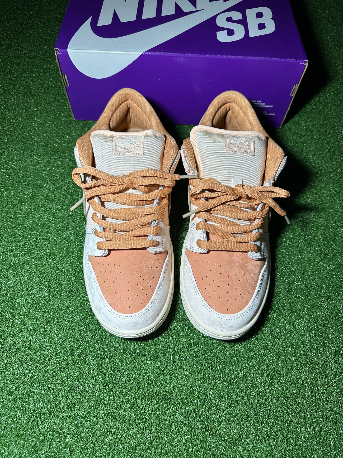 Nike SB Dunk Low Trocadero Gardens Top View