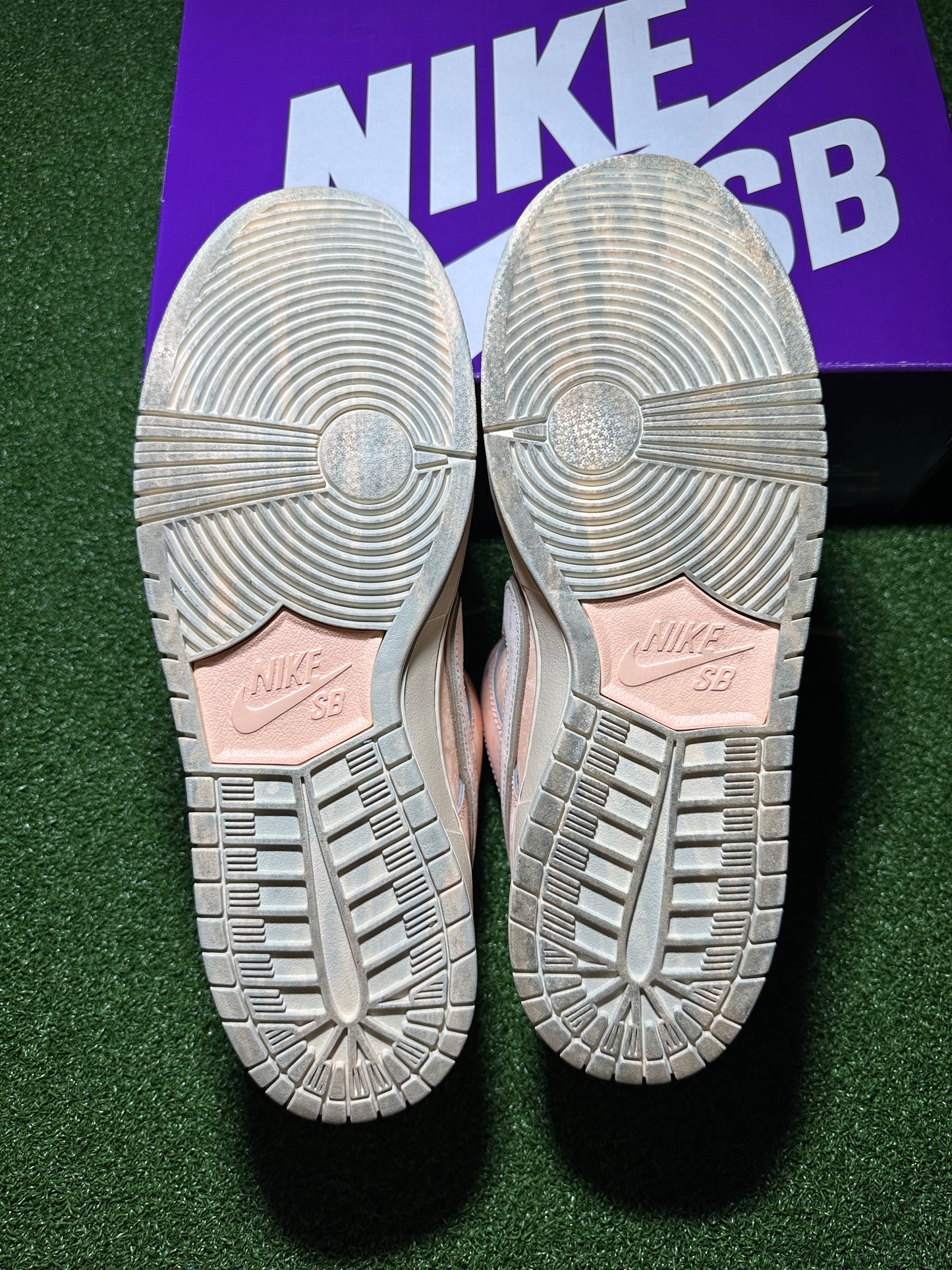 Nike SB Dunk Low Trocadero Gardens USED