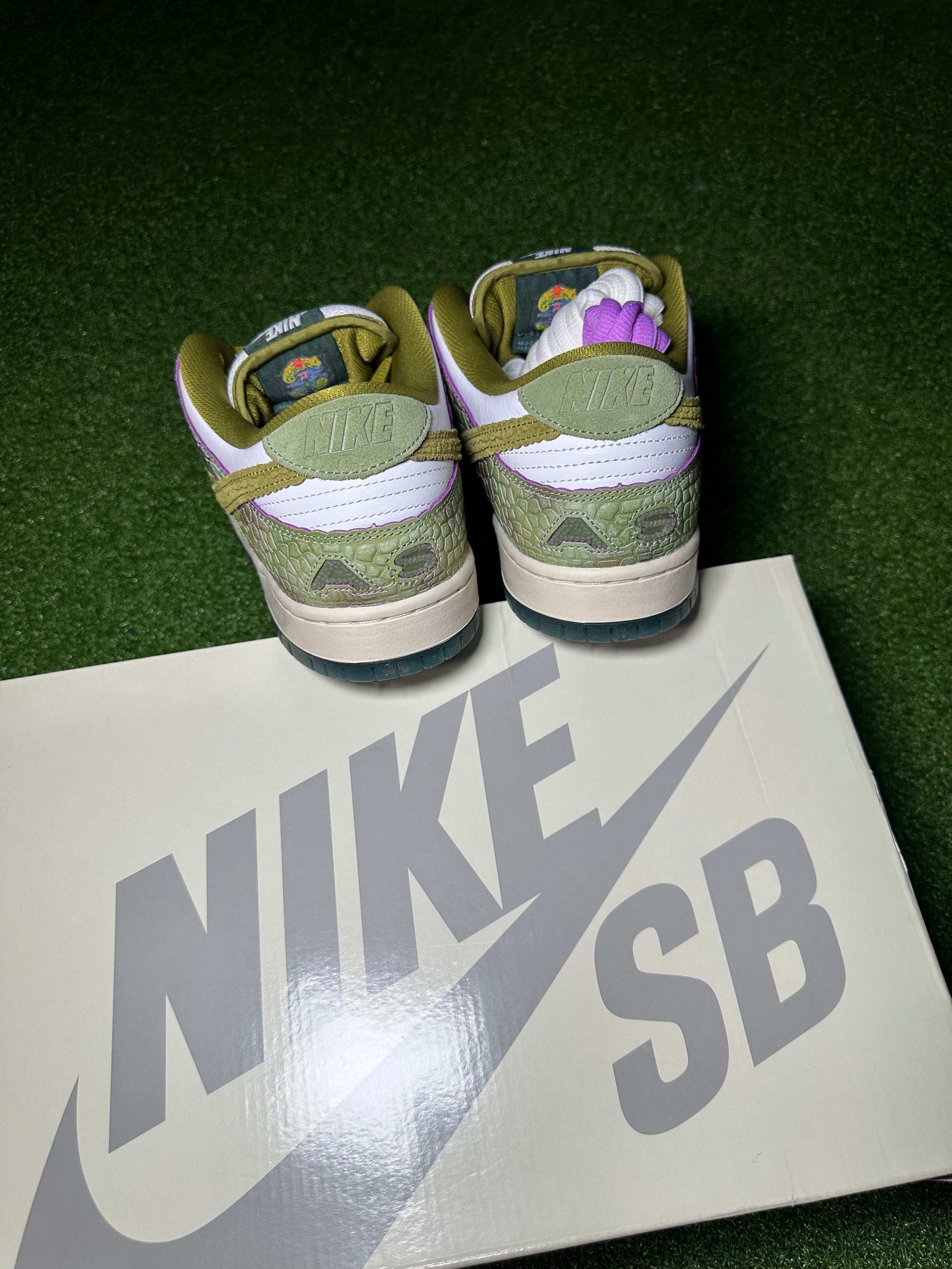 Nike SB heel tab and logos – Chameleon Dunk Low