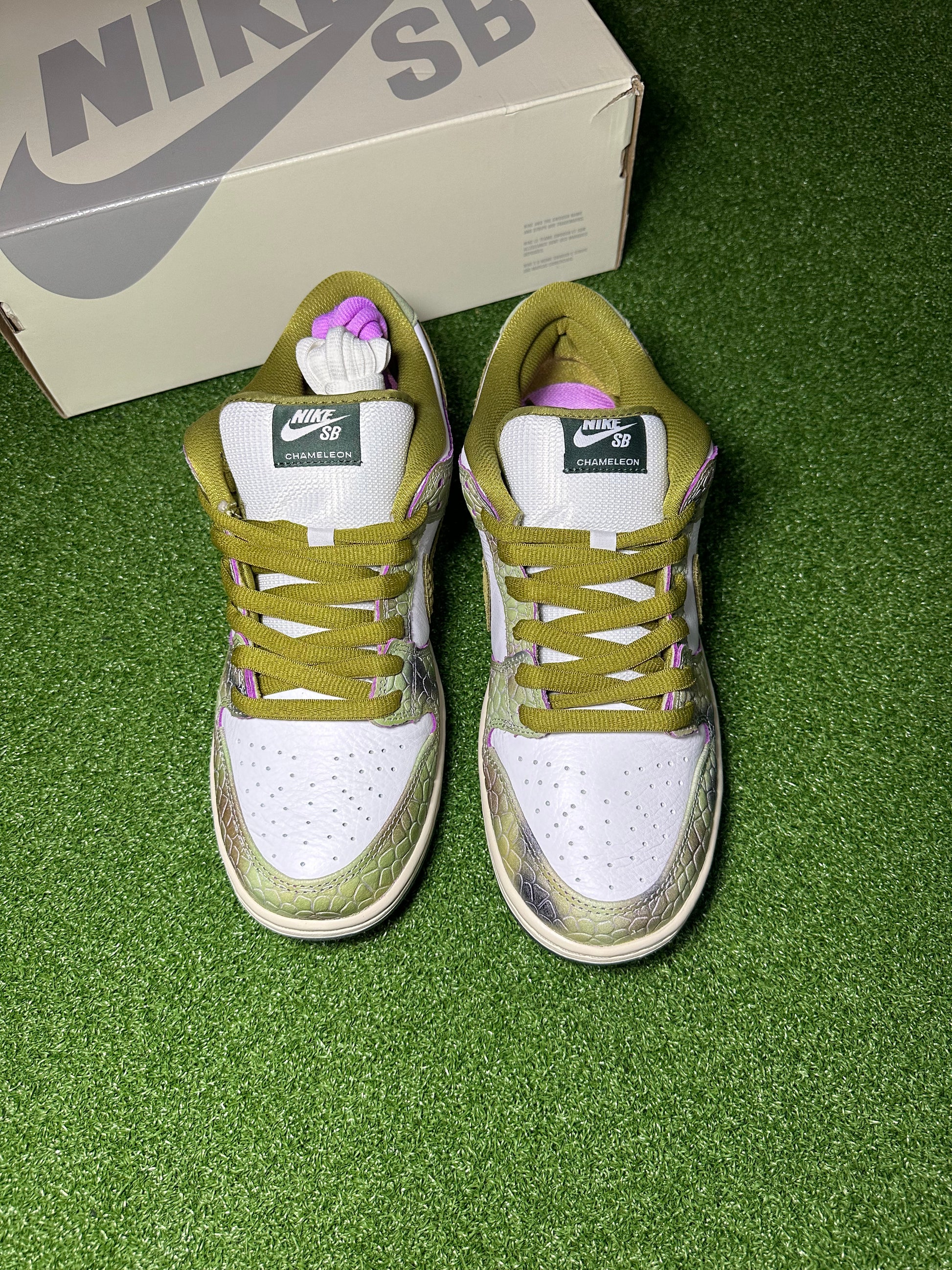 Front view of Alexis Sablone Nike SB Dunk Low Chameleon