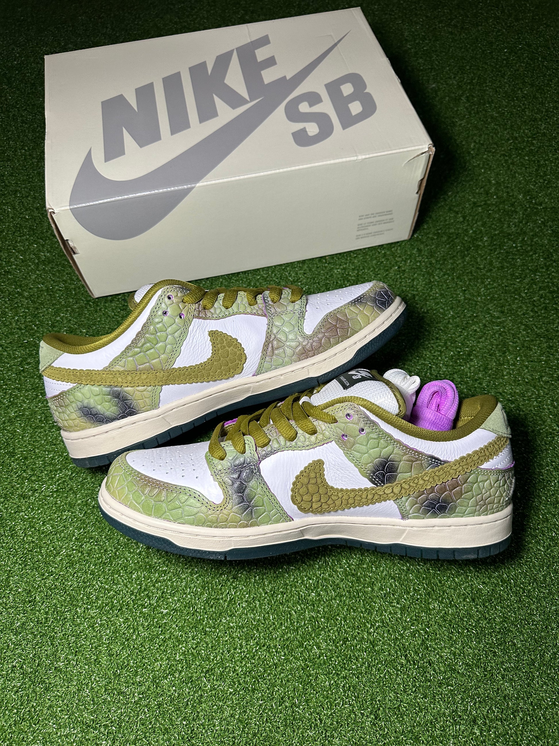 SB Dunk Low Chameleon colorway