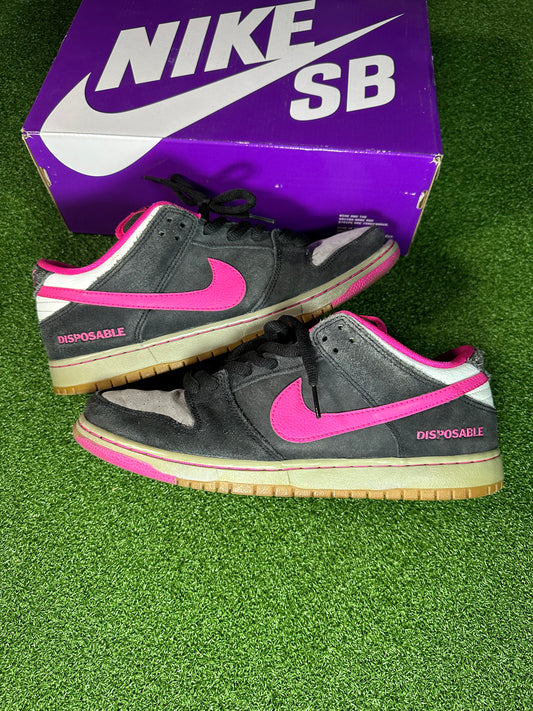 Nike SB Dunk Low Disposable USED NO BOX