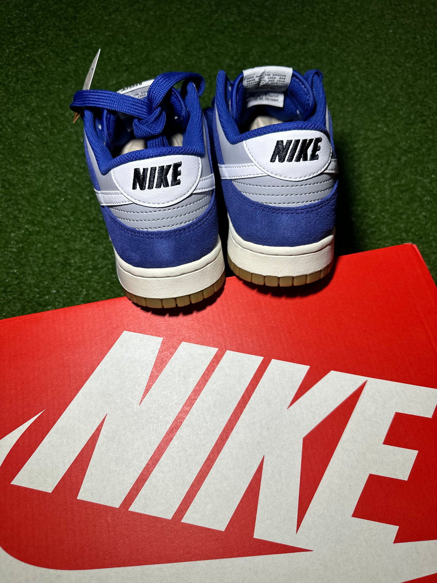 Nike Dunk Low “ Blue Gum Bottom”