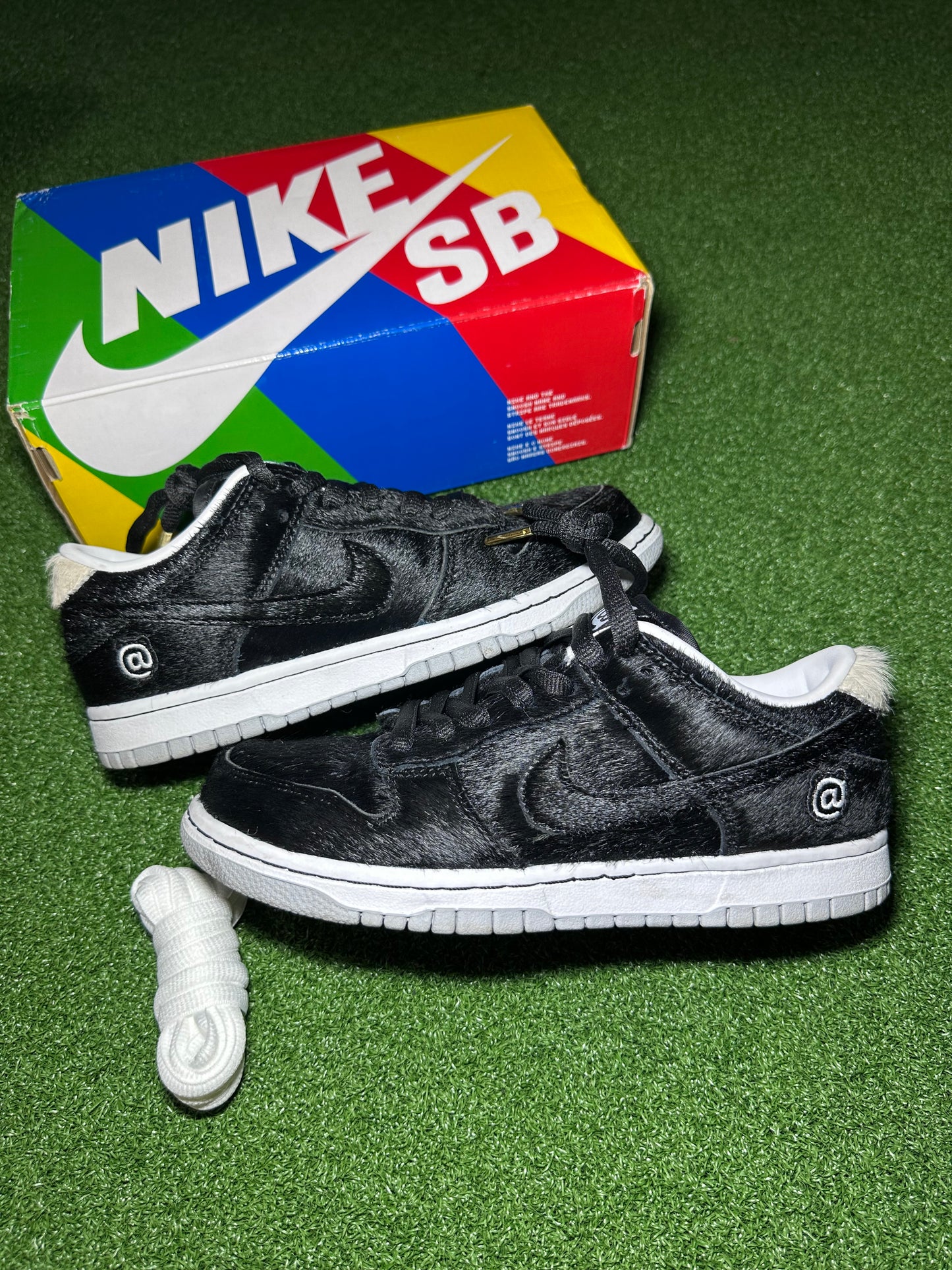 Nike SB Dunk Low “Medicom Toy”