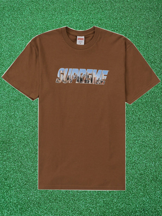 Supreme Gotham Tee Light Brown