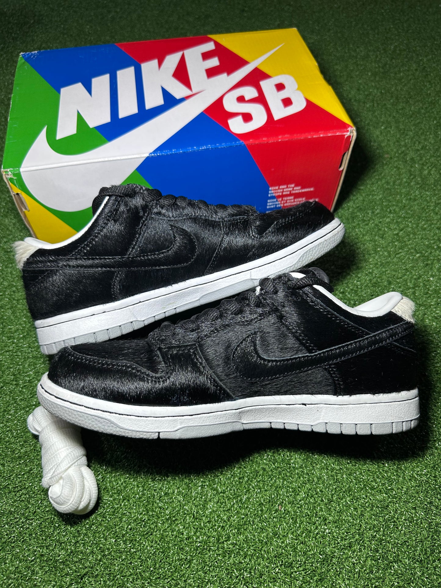 Nike SB Dunk Low “Medicom Toy”