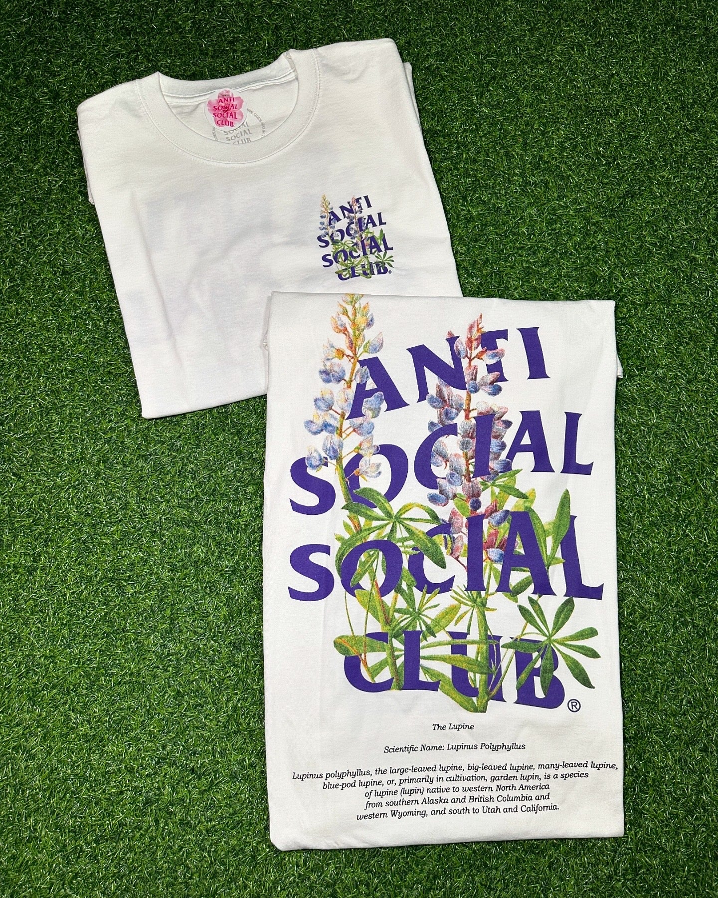 Anti Social Social Club Lupine Tee - White