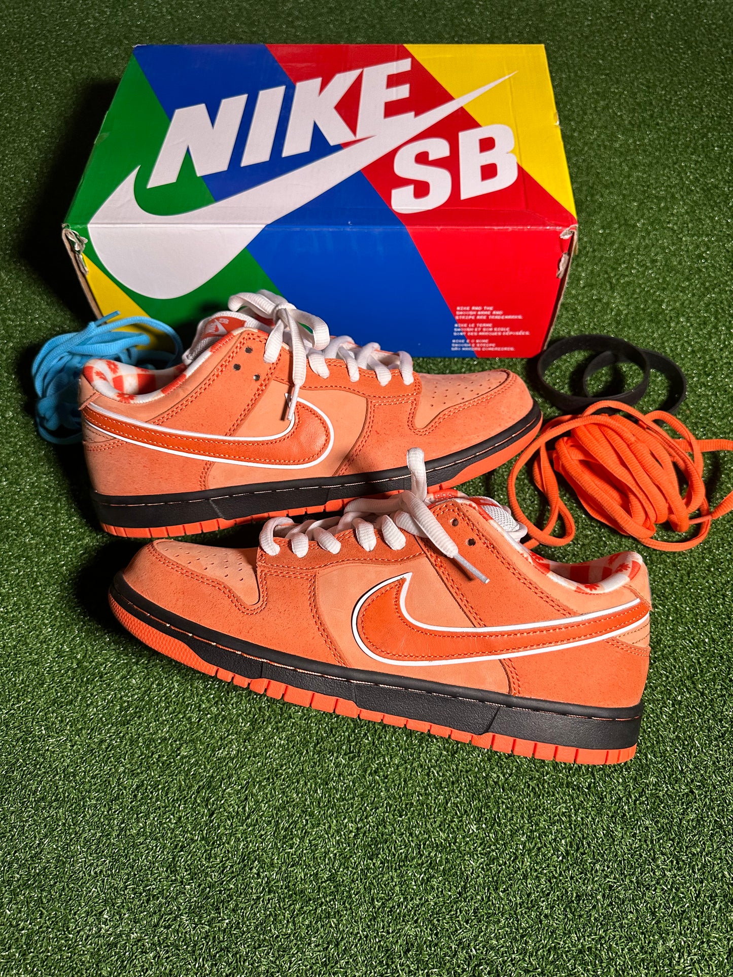 Nike SB Dunk Low Concepts Orange Lobster TRIED ON