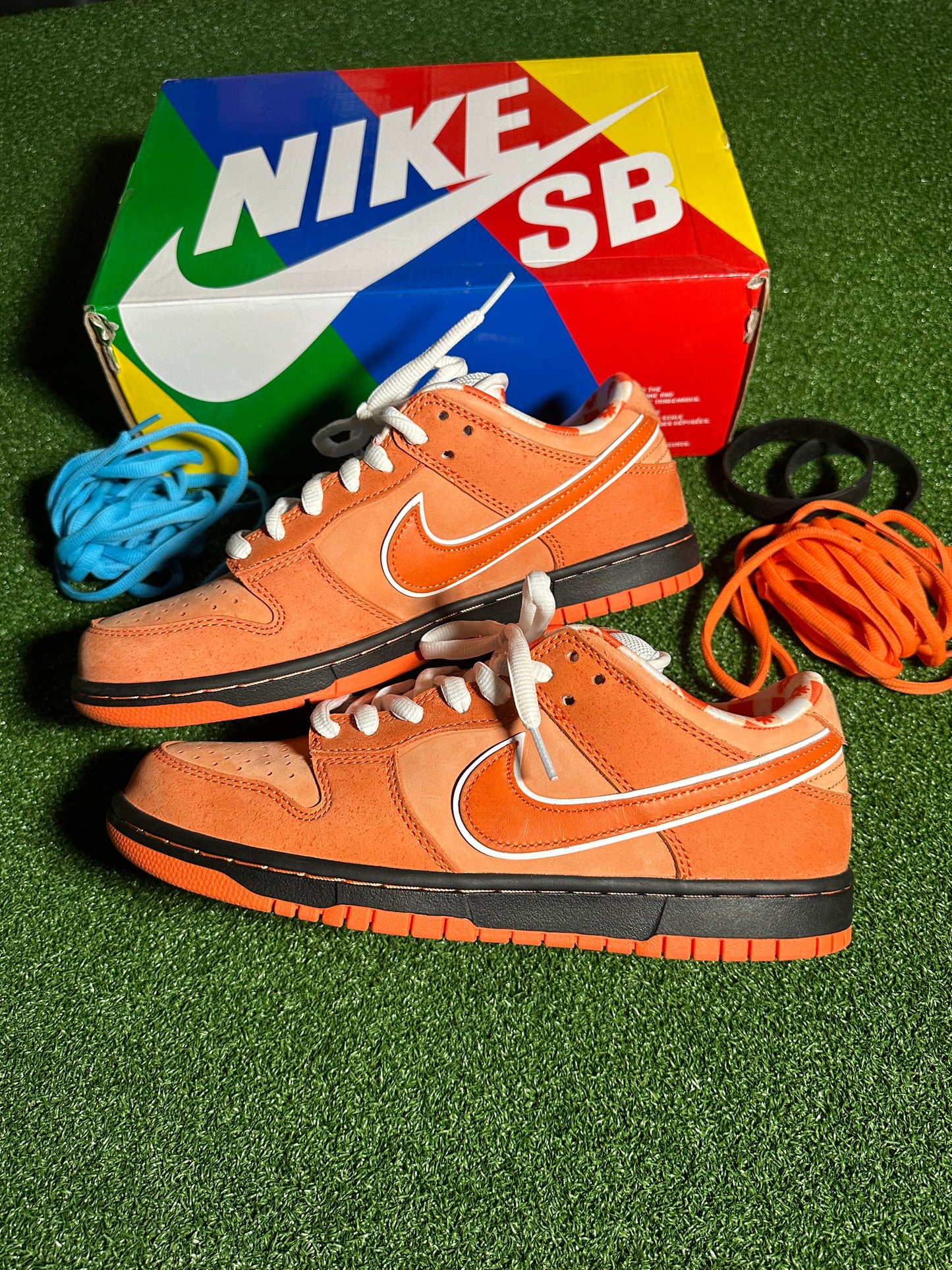 Nike SB Dunk Low Concepts Orange Lobster TRIED ON