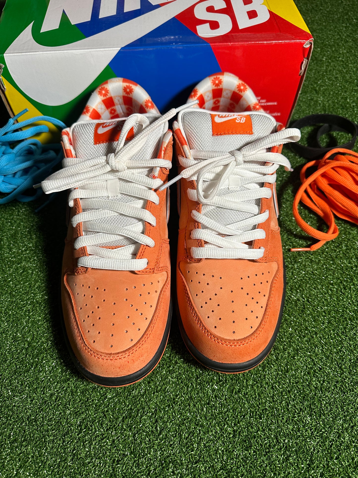 Nike SB Dunk Low Concepts Orange Lobster TRIED ON