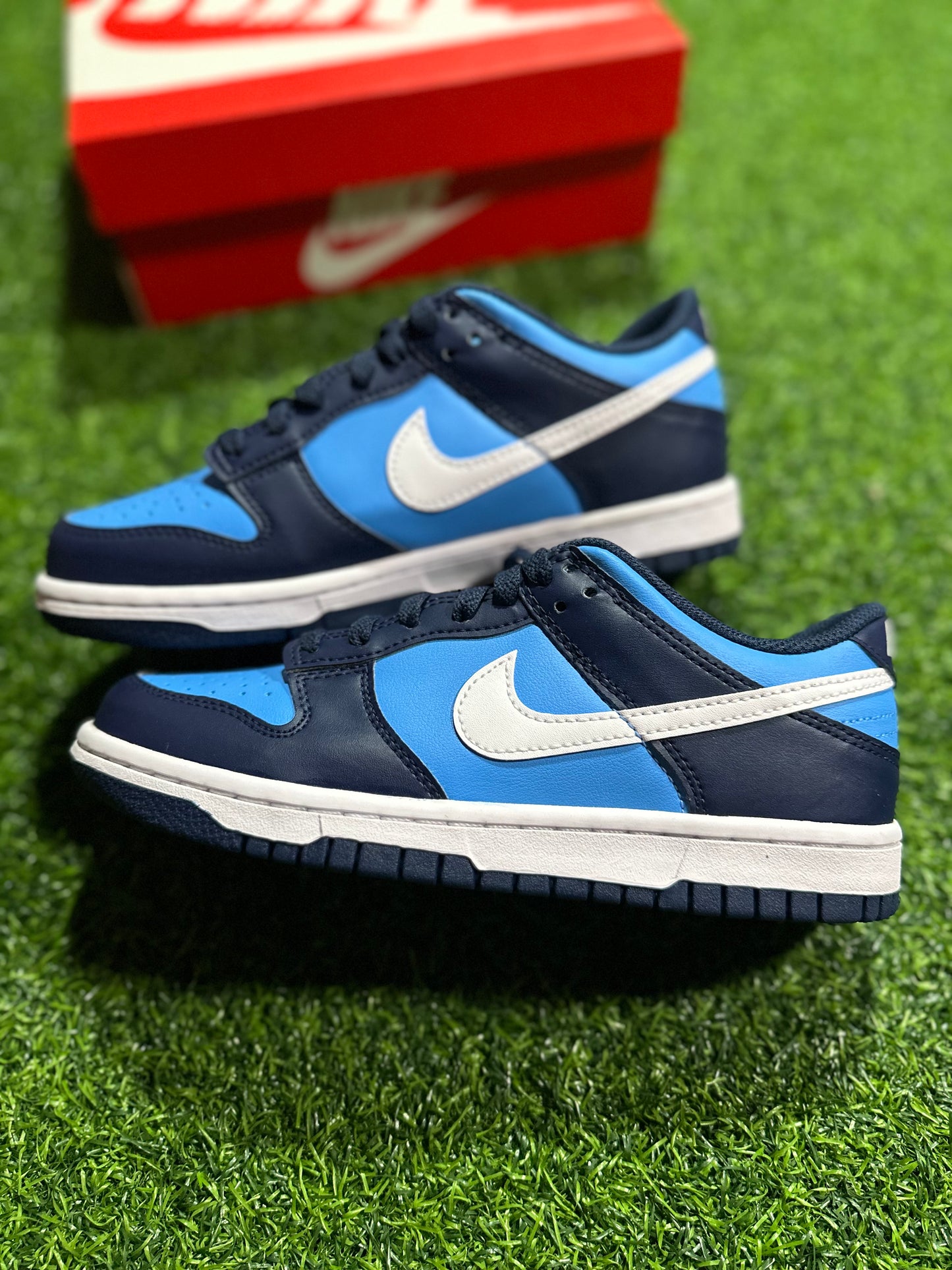 Nike Dunk Low - Azul universitario y blanco (primaria)