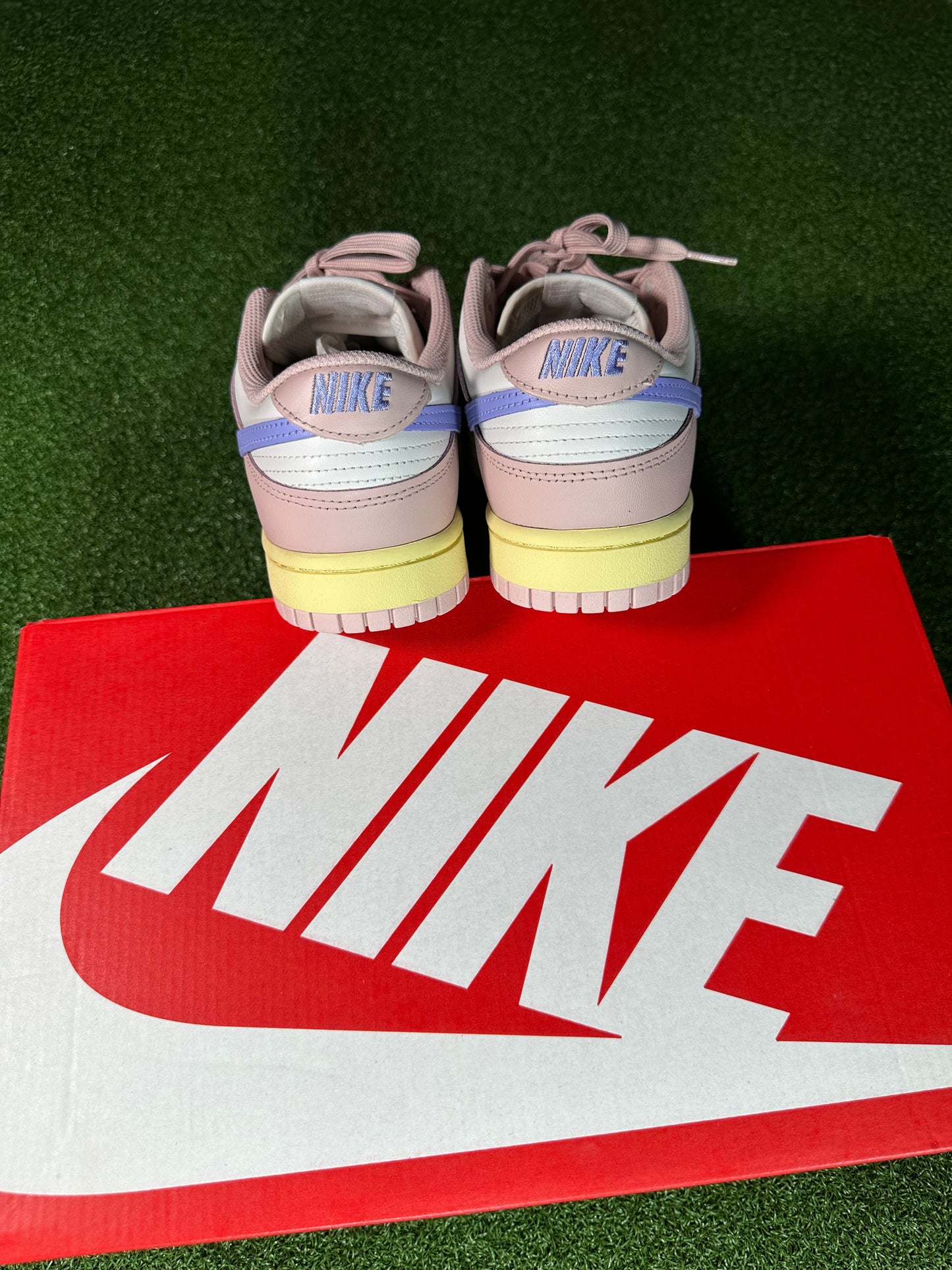 Nike Dunk Low Pink Oxford Lifestyle Sneaker