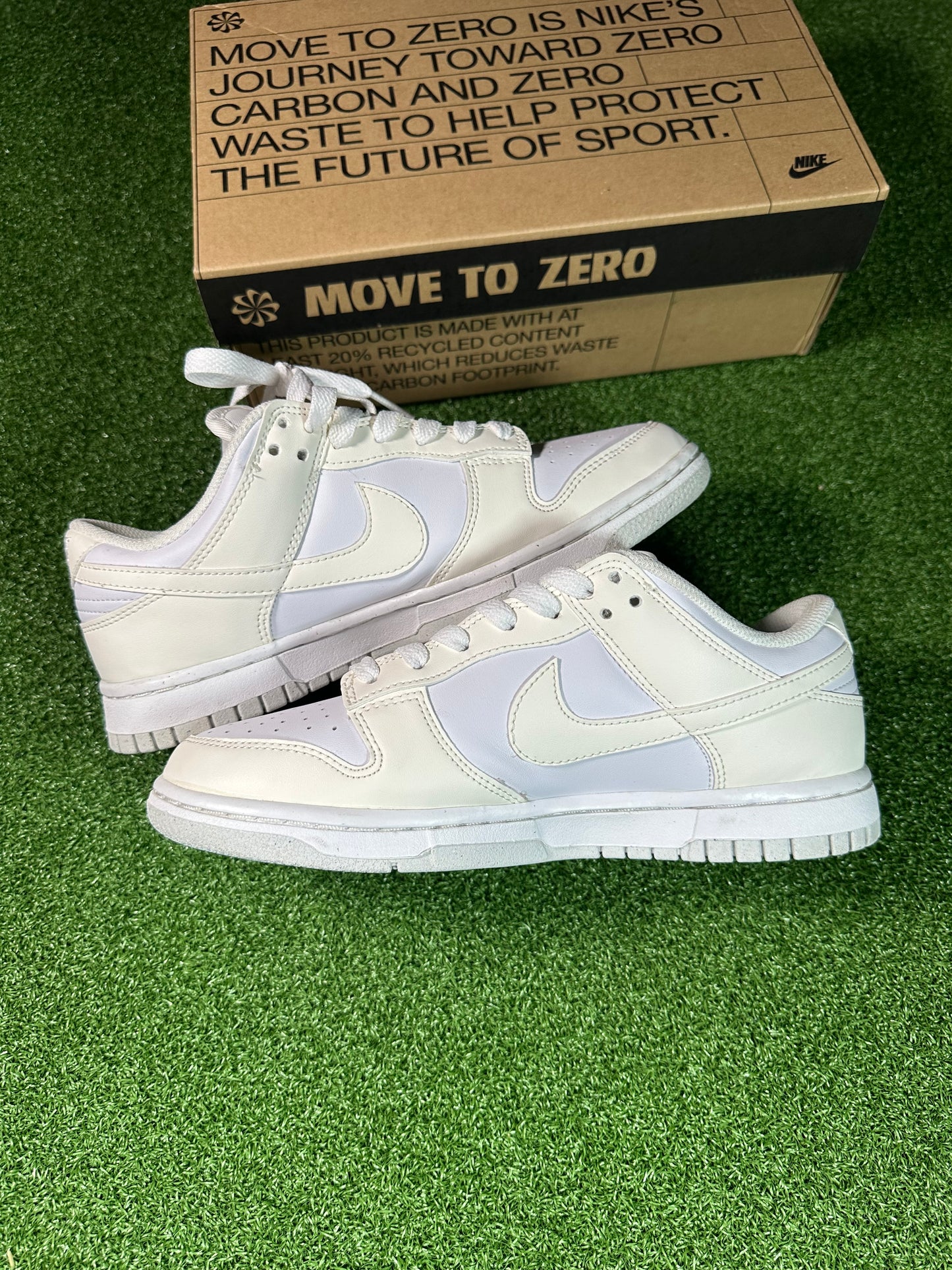 Nike Dunk Low Sail Lifestyle Sneaker