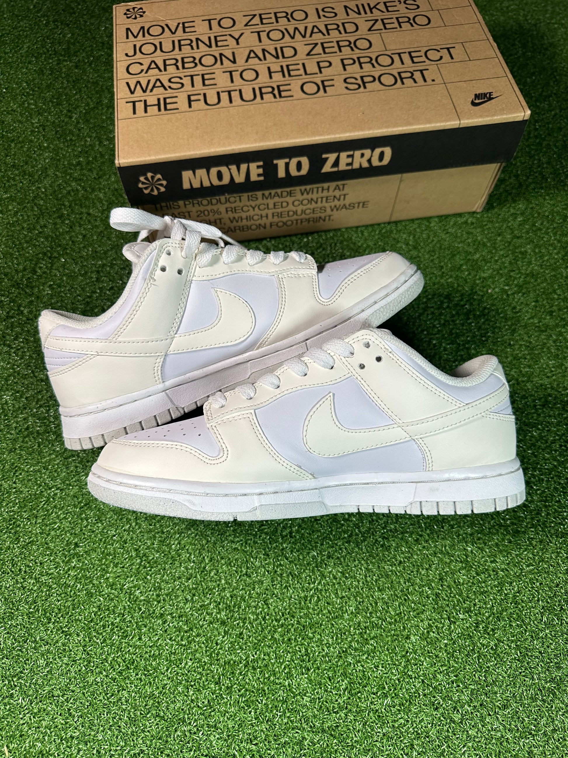 Nike Dunk Low Sail Lifestyle Sneaker