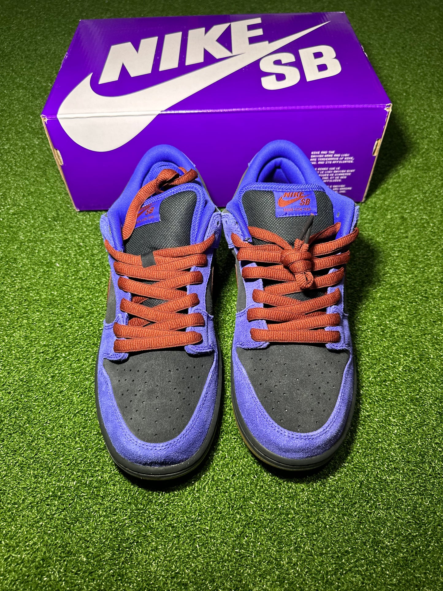 Nike SB Dunk Low Classic Streetwear Sneaker